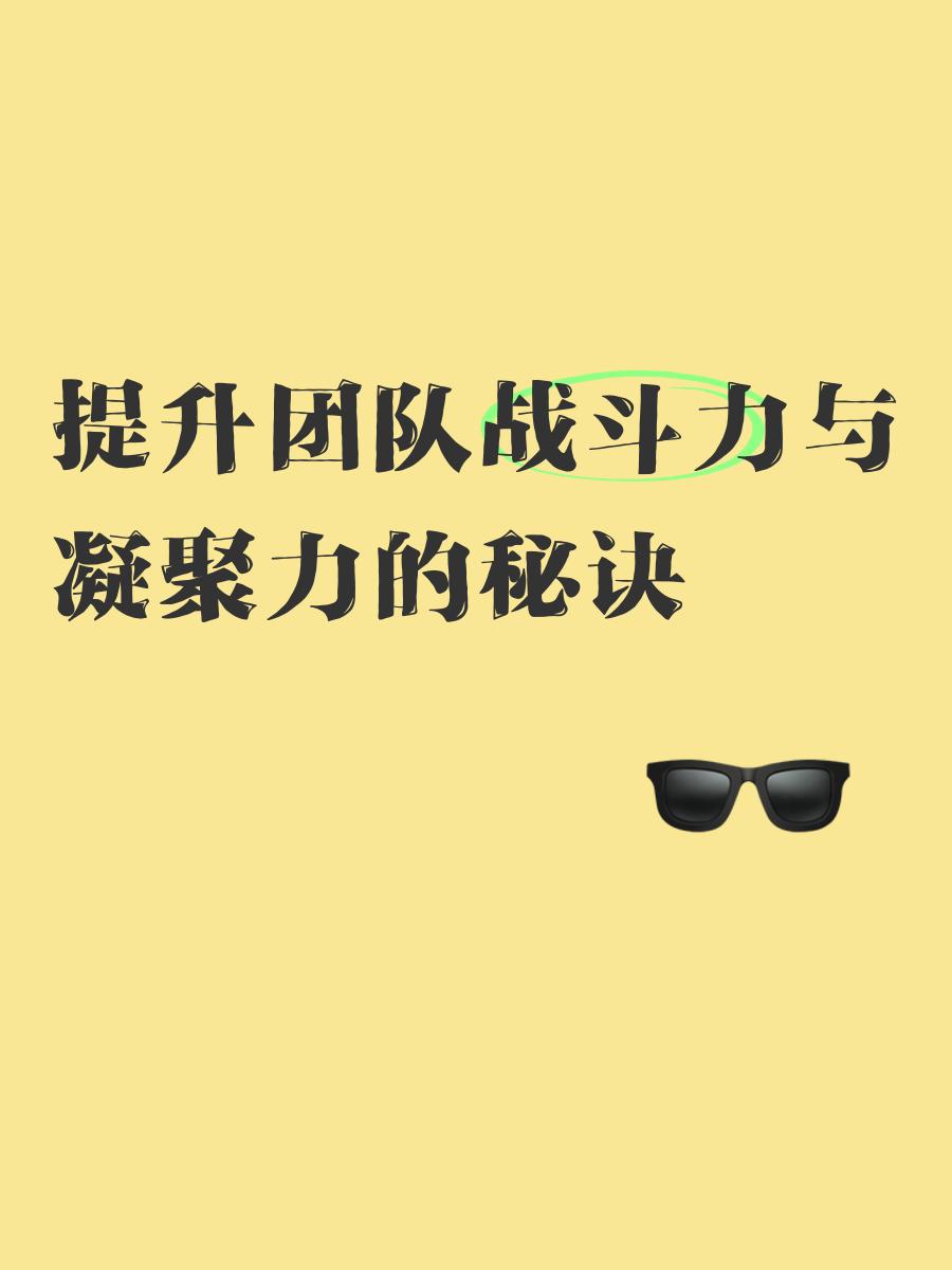 策略卓越，团队配合默契，力夺冠军的简单介绍